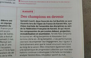 Des champions en devenir dans le journal de L'Haÿ les Roses en juin 2026