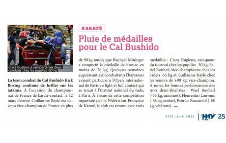 ARTICLE SUR LE BUSHIDO  AVRIL 2022 
