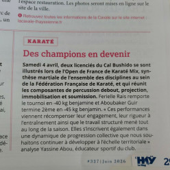 Des champions en devenir dans le journal de L'Haÿ les Roses en juin 2026
